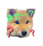 うちの子。。。（個別スタンプ：7）