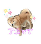 うちの子。。。（個別スタンプ：8）