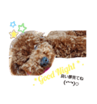 華ことば（個別スタンプ：2）