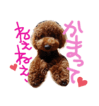 華ことば（個別スタンプ：4）