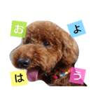 華ことば（個別スタンプ：5）
