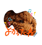 華ことば（個別スタンプ：8）