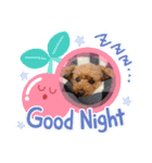 ウチの犬とか猫とかのスタンプ（個別スタンプ：2）