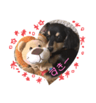 チワックス♡simba（個別スタンプ：16）