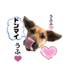 小春の毎日です！（個別スタンプ：25）