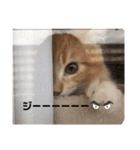 猫のきもち 犬のきもち（個別スタンプ：10）