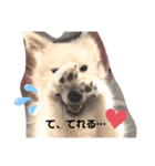 猫のきもち 犬のきもち（個別スタンプ：25）