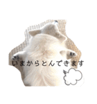 猫のきもち 犬のきもち（個別スタンプ：27）