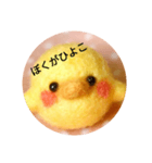 ぼくがひよこ（個別スタンプ：1）