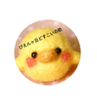 ぼくがひよこ（個別スタンプ：10）