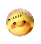 ぼくがひよこ（個別スタンプ：15）