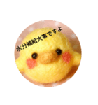 ぼくがひよこ（個別スタンプ：21）
