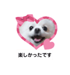 可愛い可愛いマロンとルル（個別スタンプ：4）