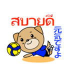 タイのバレーボール犬（個別スタンプ：35）