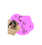 んだもしたんスタンプ（個別スタンプ：6）