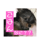シュシュすたんぷ♪（個別スタンプ：8）