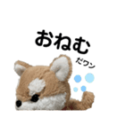 ころちゃんスタンプpart2（個別スタンプ：4）