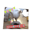 チロル2.5（個別スタンプ：9）