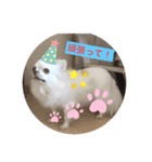 チロル2.5（個別スタンプ：10）