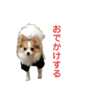 とりにく家 長女 あーずー (日常編)（個別スタンプ：2）