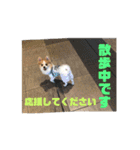 とりにく家 長女 あーずー (日常編)（個別スタンプ：23）