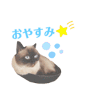 ぶんたとマカロニ2（個別スタンプ：5）