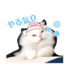 ぶんたとマカロニ2（個別スタンプ：10）