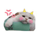 ぶんたとマカロニ2（個別スタンプ：14）