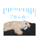 ぶんたとマカロニ2（個別スタンプ：18）