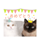 ぶんたとマカロニ2（個別スタンプ：22）