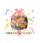 にゃんこ三姉妹1（個別スタンプ：8）