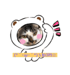 にゃんこ三姉妹1（個別スタンプ：15）