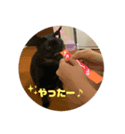 毎日じじちゃん2（個別スタンプ：7）