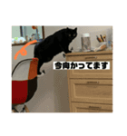 毎日じじちゃん2（個別スタンプ：8）