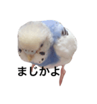 天才的にかわいいぺんさん（個別スタンプ：4）