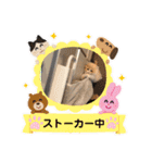 どすこい猫のさくらの日常（個別スタンプ：18）