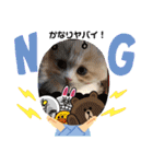 どすこい猫のさくらの日常（個別スタンプ：21）
