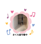 どすこい猫のさくらの日常（個別スタンプ：27）
