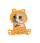 どすこい猫のさくらの日常（個別スタンプ：33）