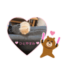 どすこい猫のさくらの日常（個別スタンプ：37）