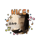 どすこい猫のさくらの日常（個別スタンプ：38）