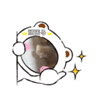 どすこい猫のさくらの日常（個別スタンプ：39）