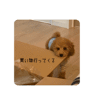 あみたぷりおさん（個別スタンプ：3）