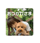 あみたぷりおさん（個別スタンプ：12）
