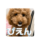 あみたぷりおさん（個別スタンプ：13）