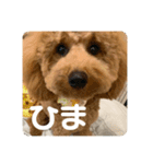 あみたぷりおさん（個別スタンプ：14）