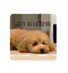 あみたぷりおさん（個別スタンプ：15）