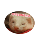 ぼくらの日常①（個別スタンプ：3）