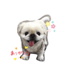 ゆじゅこの挨拶✩.*˚（個別スタンプ：2）
