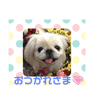 ゆじゅこの挨拶✩.*˚（個別スタンプ：5）
